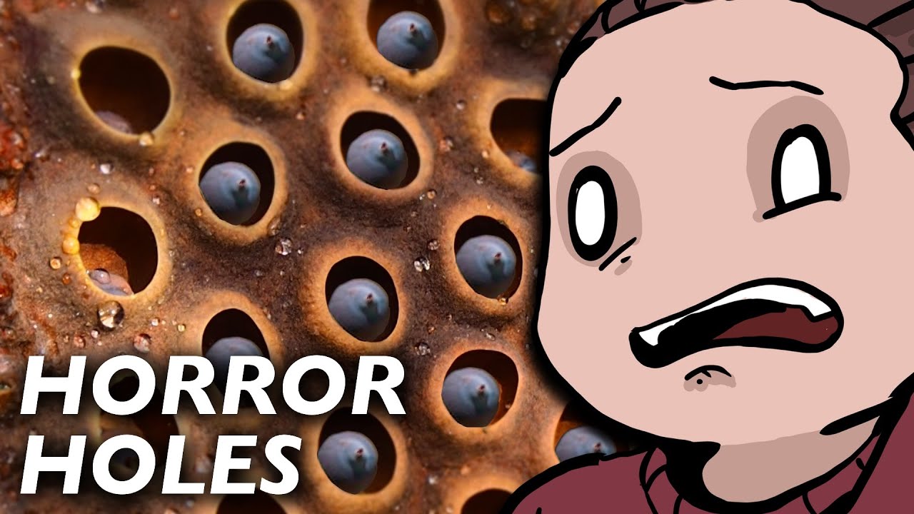 Why Trypophobia Is Not Real and How to Cure It