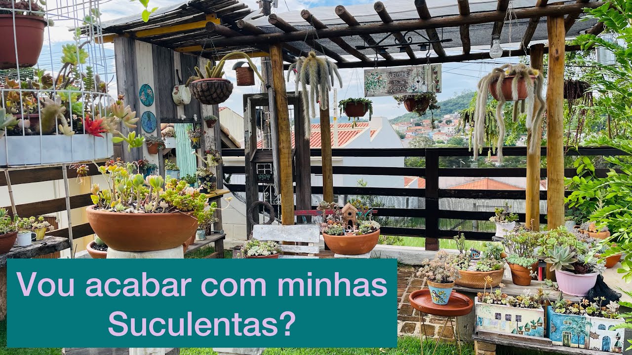 Decorei o piso da varanda, minhas suculentas!!