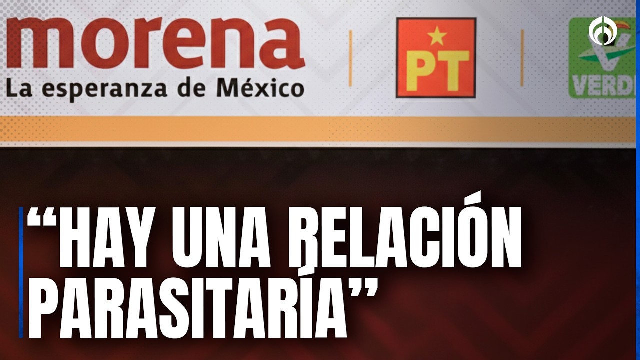 Verde y PT viven de Morena, pero éste también los necesita para reforma electoral, especialista