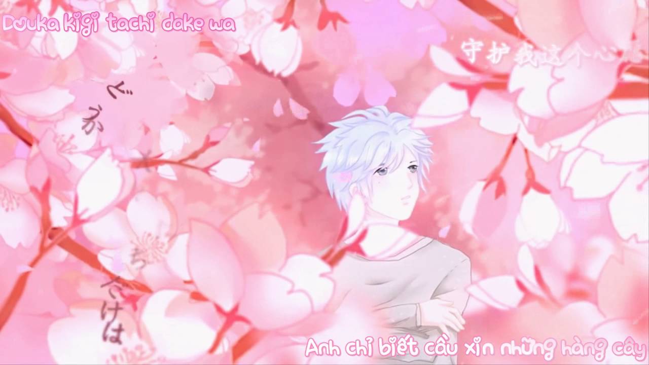 [Vietsub]桜色舞うころ( Sakurairo Mau Koro )Khi hoa anh đ&agrave;o bay trong gi&oacute; -泥鳅Niko N&ecirc; Thu Niko
