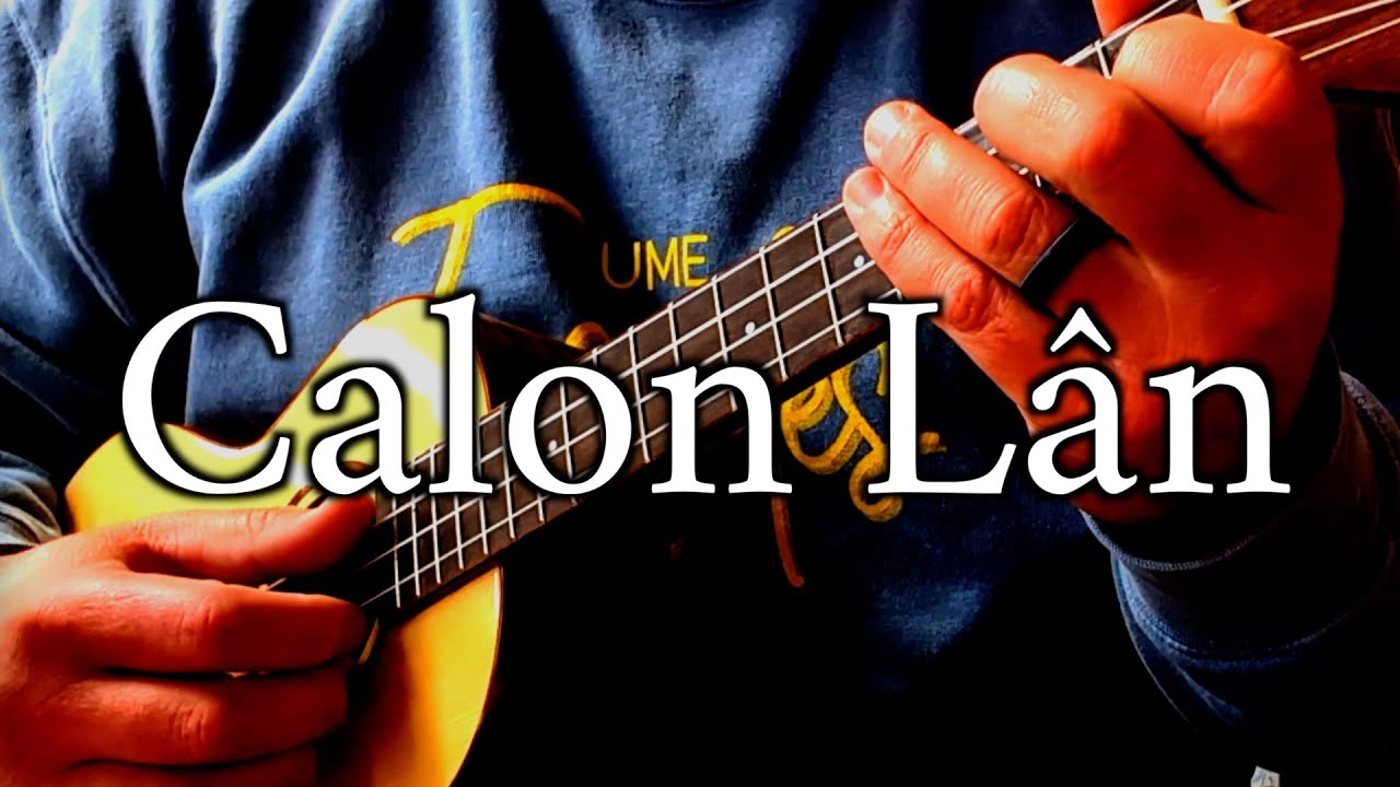 Calon Lân | traditional Welsh song | solo instrumental