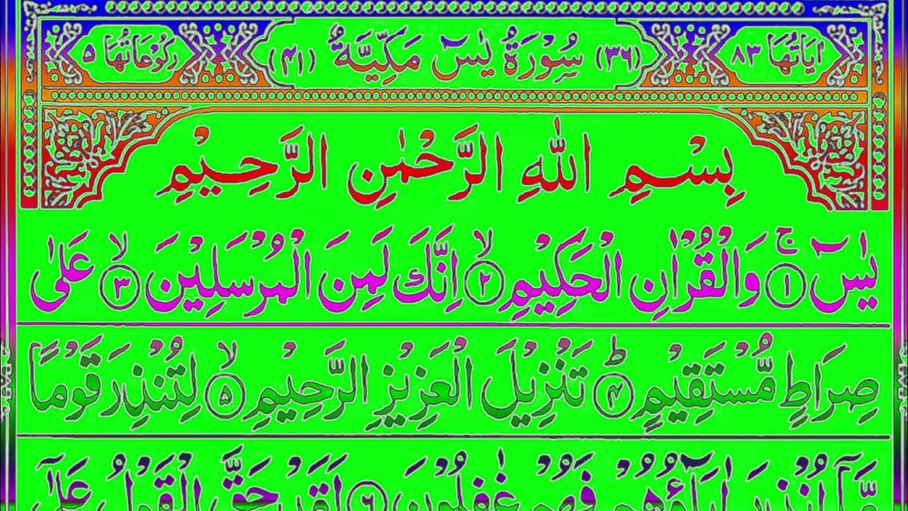 Yaseen sharif Surah Ar Rahman With Surah Mulk | Best Quraan Recitation | Surah Yaseen |Surah Yasin 