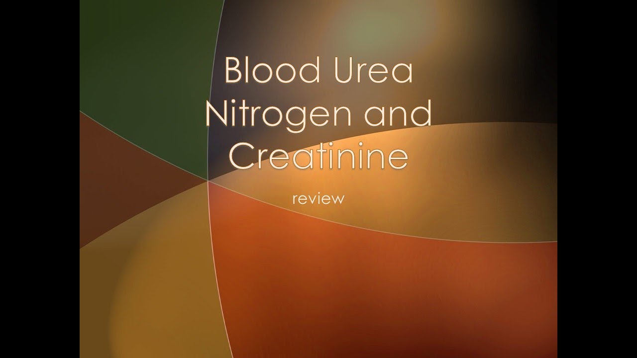 BUN and Creatinine - clinical chem lab tests review
