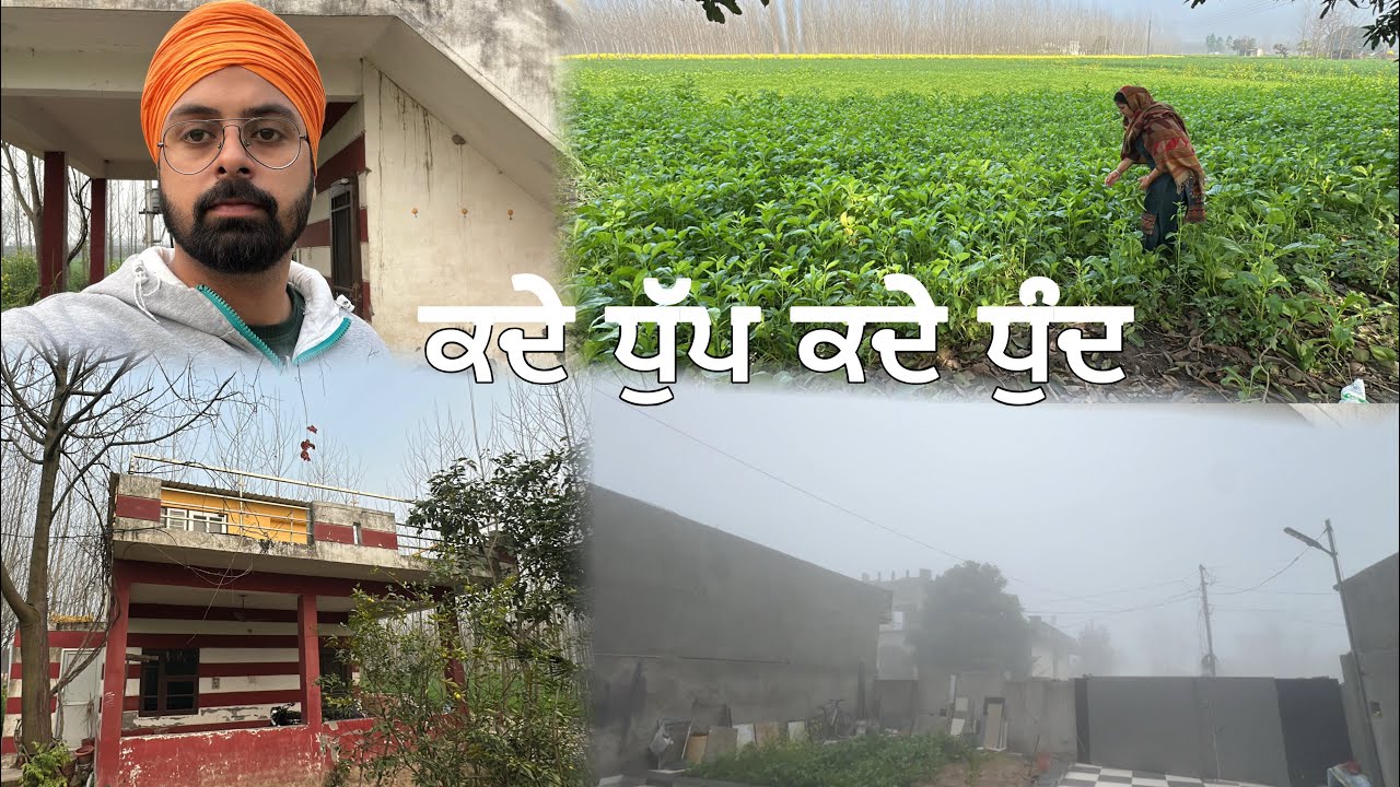 ਮੌਸਮ ਦਾ ਵੀ ਪਤਾ ਨਹੀਂ ਚੱਲਦਾ ਕਦੇ ਧੁੱਪ ਤੇ ਕਦੇ ਧੁੰਦ //Mahal Preet Mahal