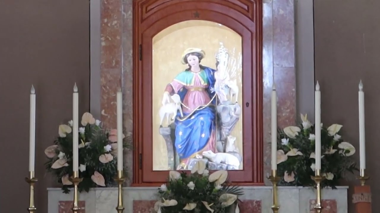 Piminoro (RC) - festa di Maria SS. Divina Pastora 2024 - 1/6