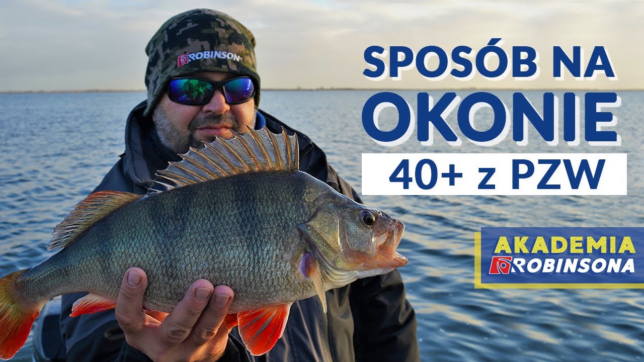 Sposób na okonie 40+ z PZW (przynęty, wędki, metody, łowiska)! AKADEMIAROBINSONA#12