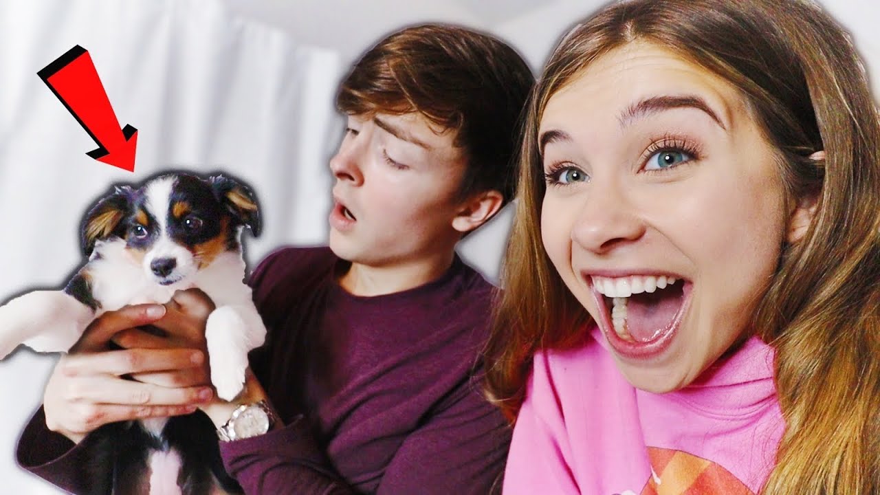 I Surprised My Boyfriend with a PUPPY! (Cute Reaction)