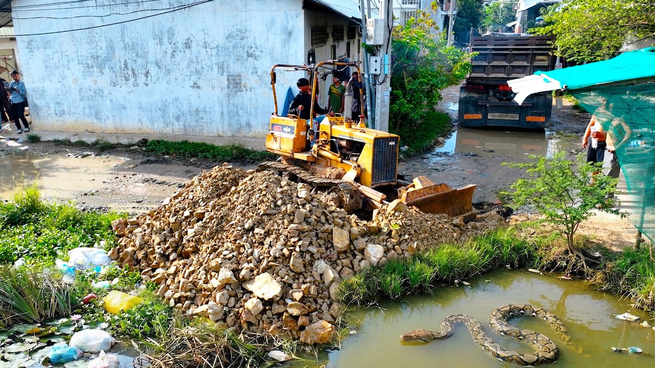 First Start Amazing New Project! Landfill on Flooded Garbage Area by Skill Dozer D20P & Dump Truck