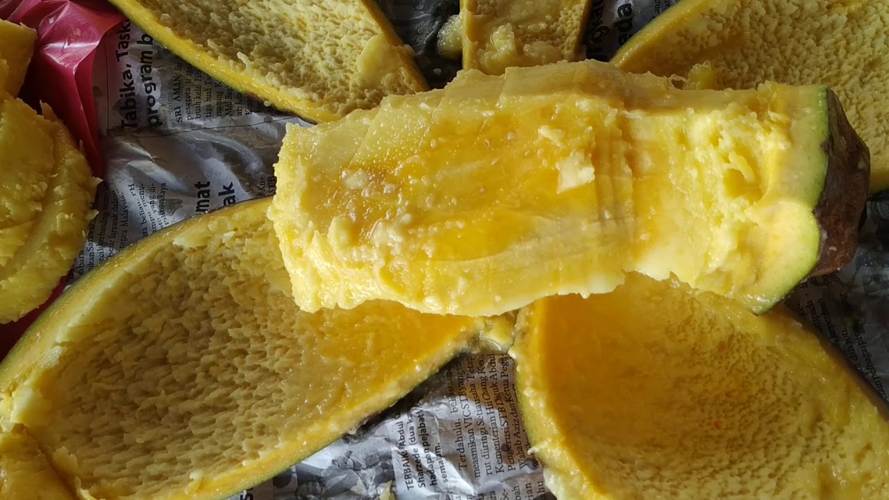 Bambagan / Bowang (Mangifera pajang) - cut and eat dangerous giant Jungle Mango like a pro