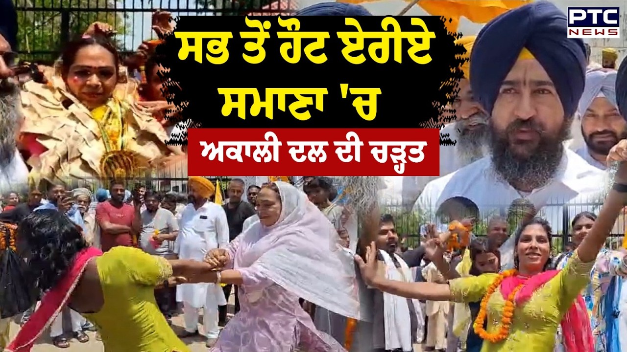 Samana MC Election Result 2026 : ਸਭ ਤੋਂ ਹੌਟ ਏਰੀਏ ਸਮਾਣਾ 'ਚ ਅਕਾਲੀ ਦਲ ਦੀ ਚੜ੍ਹਤ  | Shiromani Akali Dal