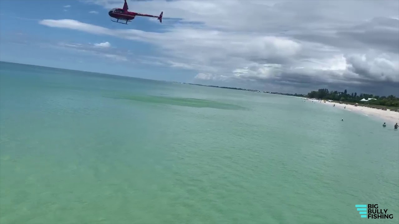 Boca Grande Bull Sharks