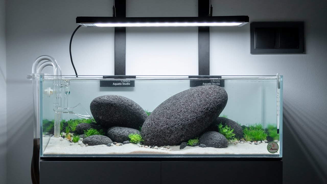 60F IWAGUMI AQUARIUM - STEP BY STEP | CINEMATIC