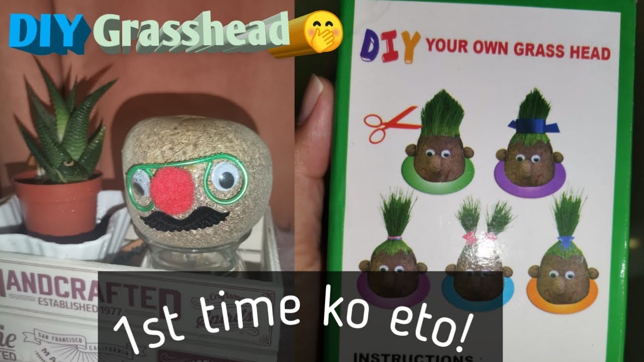 GROWING GRASS HEAD IN 5 DAYS