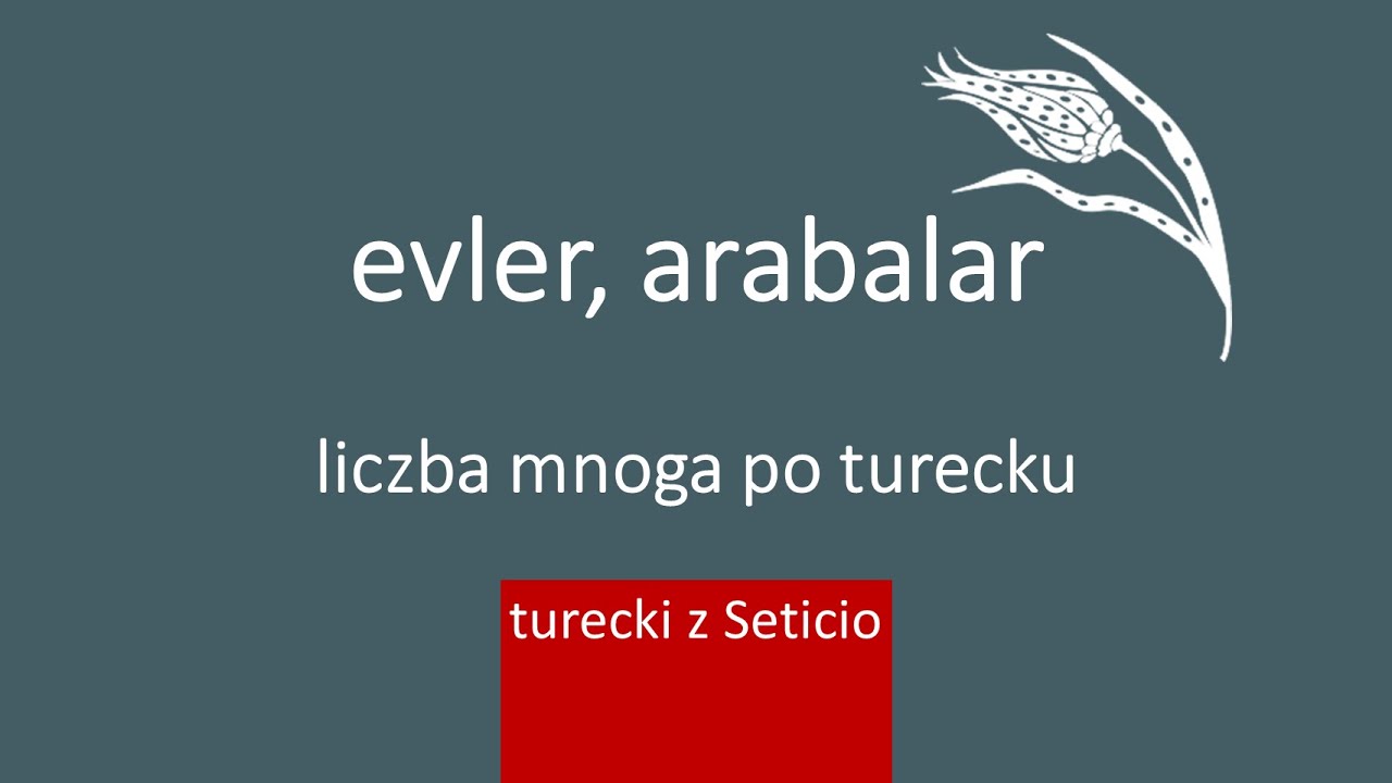 9. Liczba mnoga po turecku - Turecki z Seticio - Lekcja 9