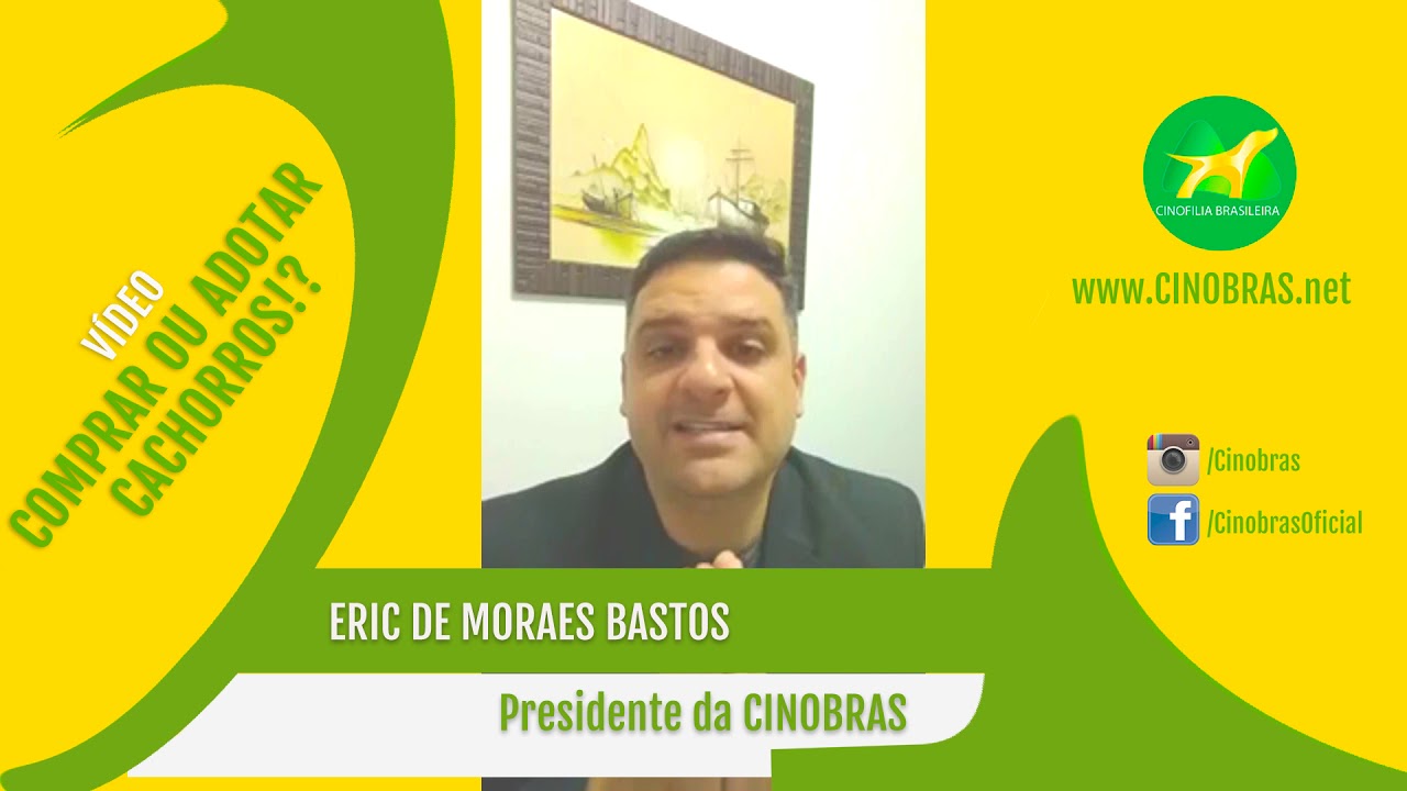 COMPRAR OU ADOTAR CACHORROS!?