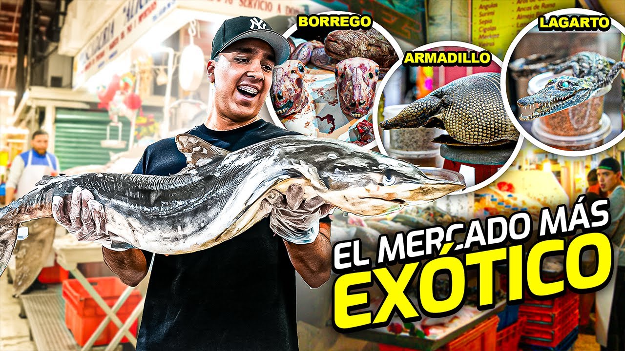 Explorando el MERCADO más EXÓTICO de MÉXICO 🇲🇽 | Mercado de San Juan 😱