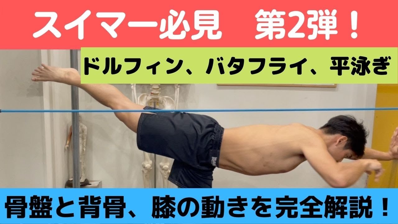 【スイマー必見！】骨盤と背骨の動きを完全解説！