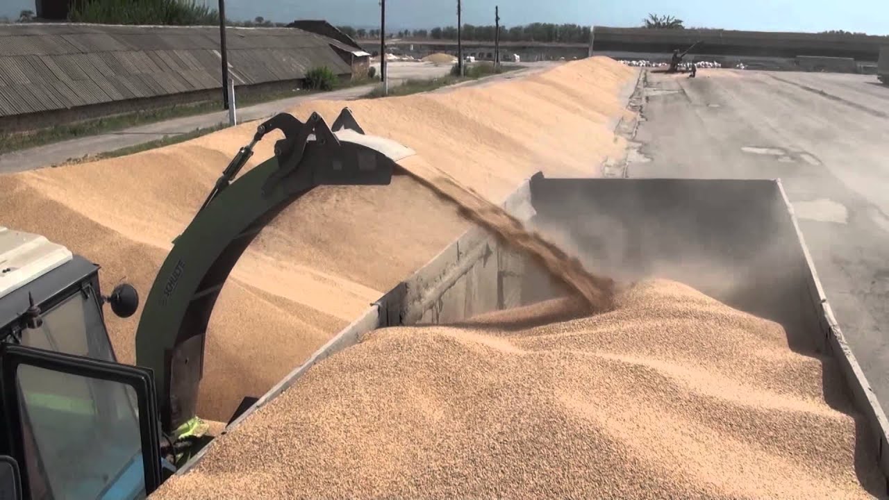 Schulte Industries Snow Blower, loading grain in the Ukraine & Russia SDX-117, SDX-102