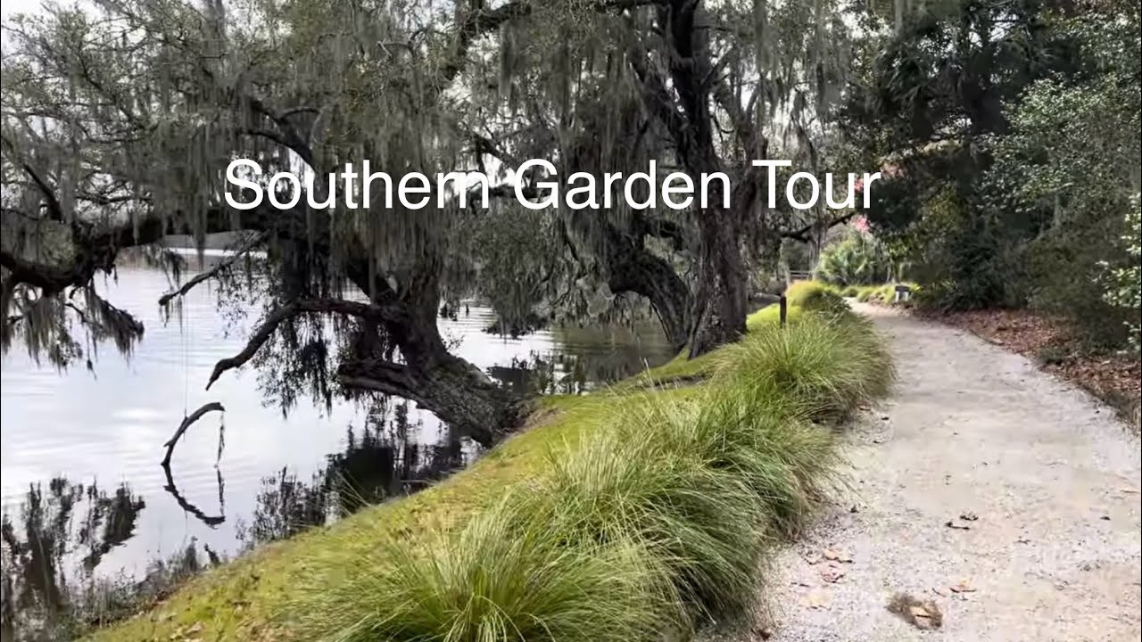 Plant Tour of Magnolia Plantation | Charleston, SC Garden Walk
