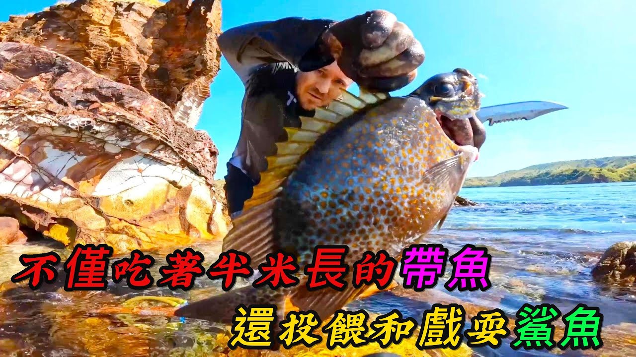 不僅吃著半米長的帶魚，還投餵和戲耍鯊魚，這真的是荒島求生嗎？ 《荒野大餐》第二季78