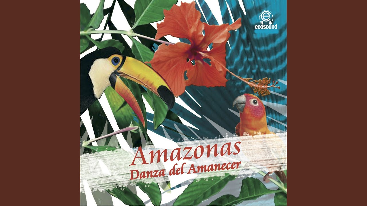 El Flautista del Ande