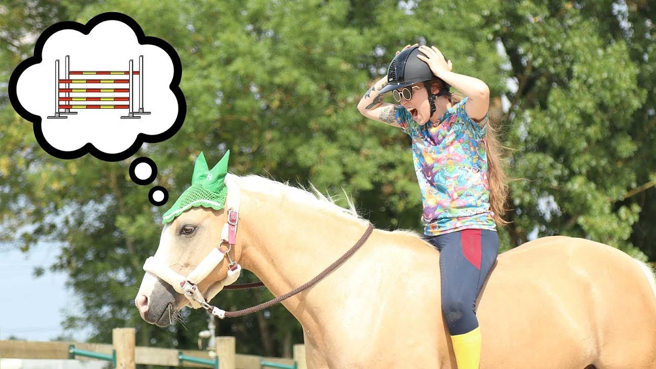 HELP : Tivoli choisit lui-m&ecirc;me sa s&eacute;ance ! 😂🐴🏅  I Georgette ou Taxi ?