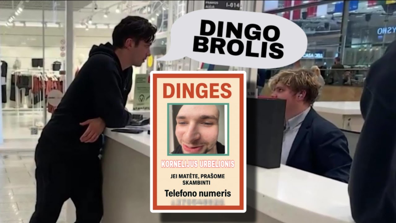 KAIP MANAGERIS AKROPOLYJE DINGO BE ZINIOS