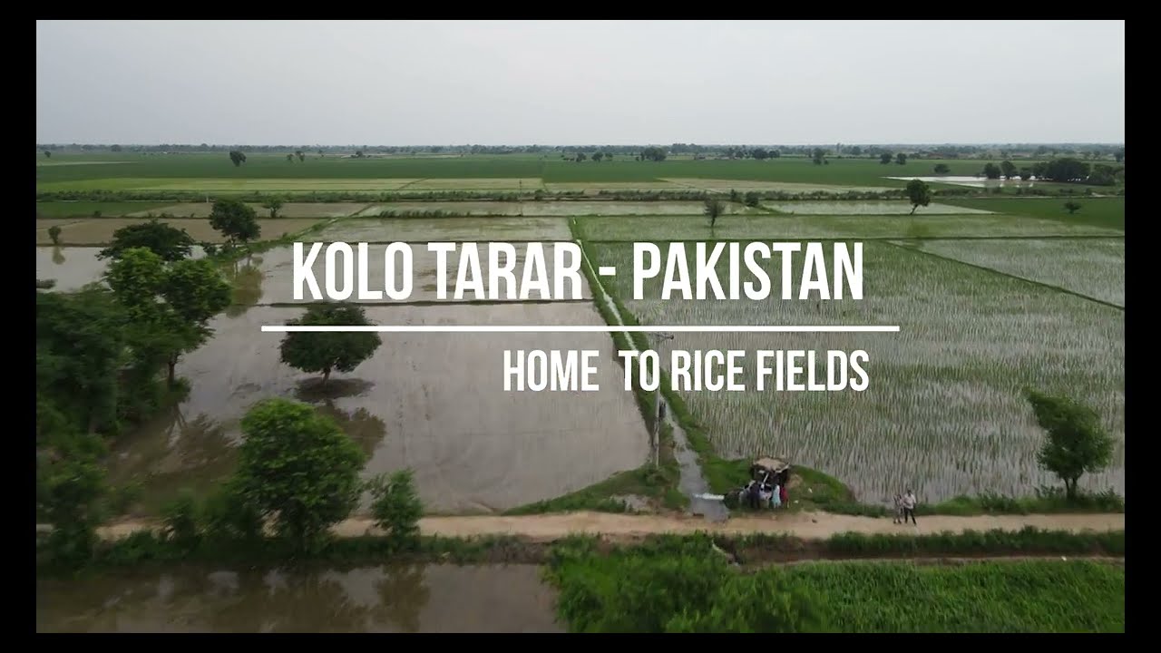 KOLO TARAR PAKISTAN