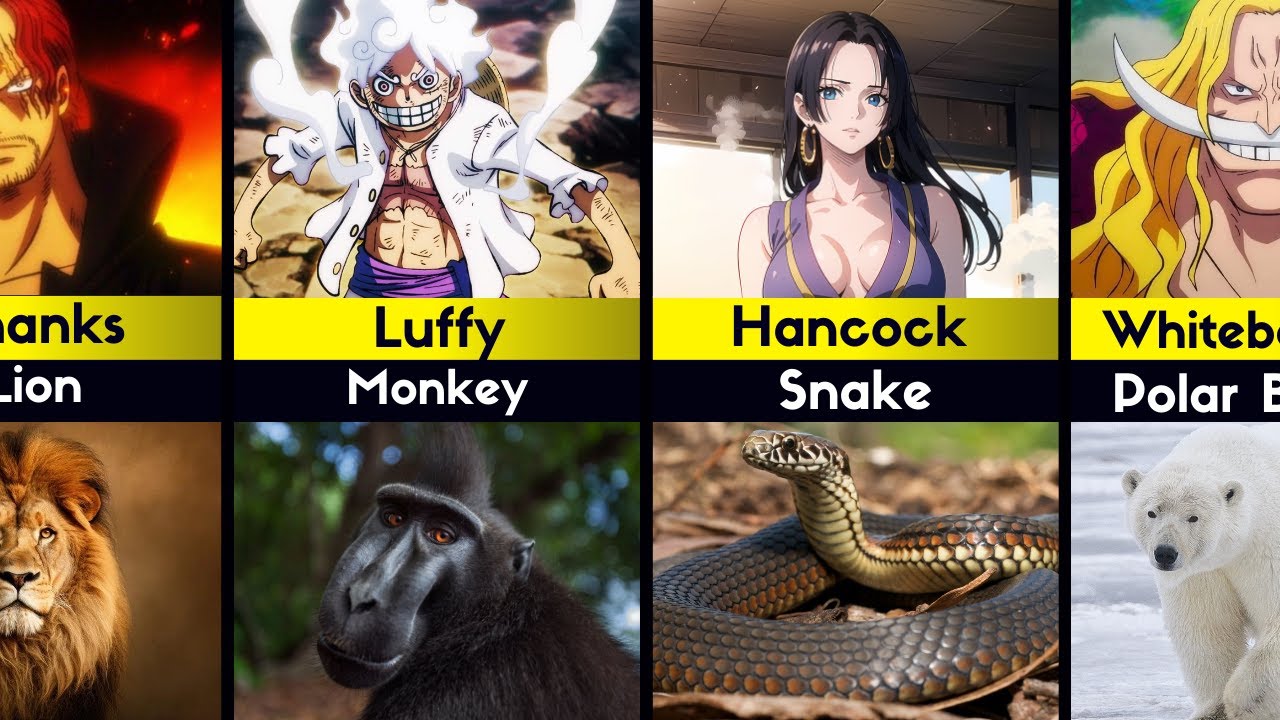 One Piece Characters Personilities Matched With Animals