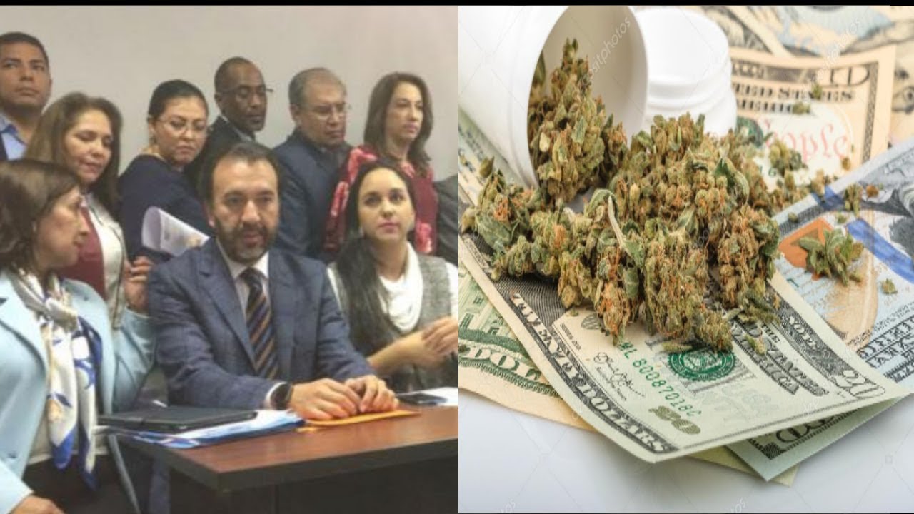 ASAMBLEISTAS #CORREISTAS #NARCOS, Y #CORRUPTOS, Y OTROS AFINES A #CORREA SON LA MAFIA D LA #ASAMBLEA
