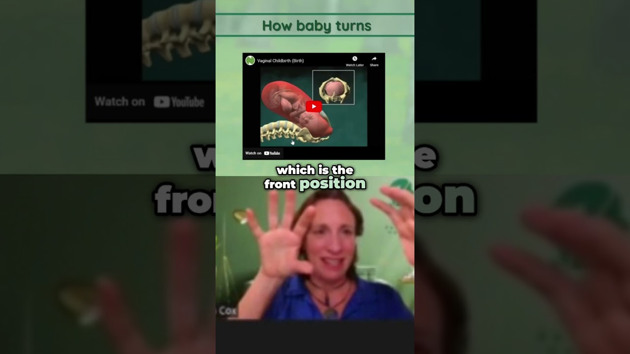 Understanding Baby's Rotation in the Pelvis  Crucial Steps of Labor