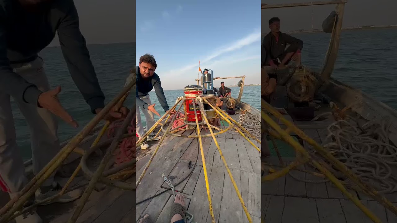 survey Indus Delta #indus #marinelife #sunset #survey #oceanography