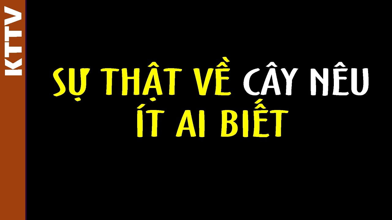 Sự thật về cây nêu mà người Việt nên biết