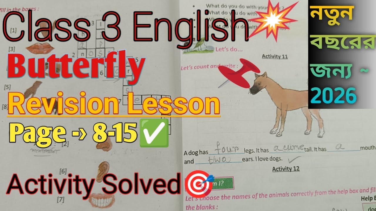 Class 3 Butterfly|Activity Solved Page 8 -15🎯🎯|ক্লাস 3 ইংলিশ Textbook Butterfly|