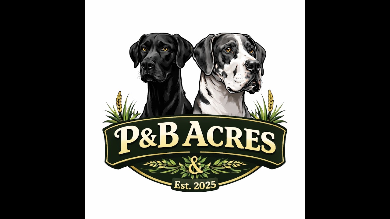 P&B Acres 2   SD 480p