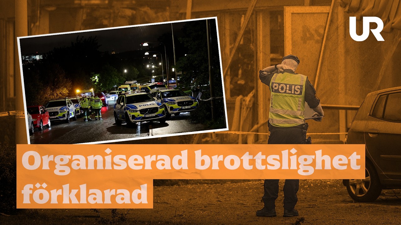 Så växte den organiserade brottsligheten fram i Sverige | SAMHÄLLSKUNSKAP | Gymnasiet