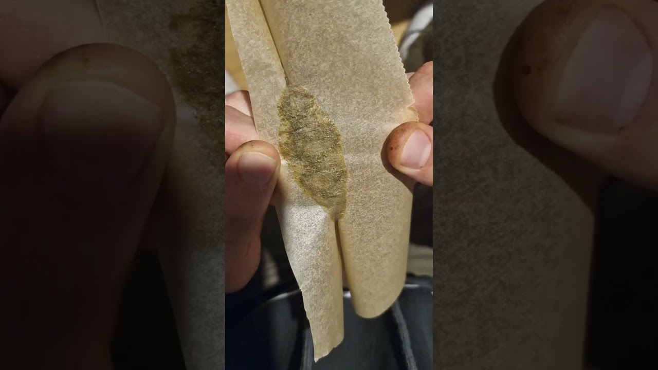 Bubble Hash Time! Ca. 350g Fresh Frozen Cannabis gewaschen(Dynamite Diesel) #cannabisdaily #hashtag