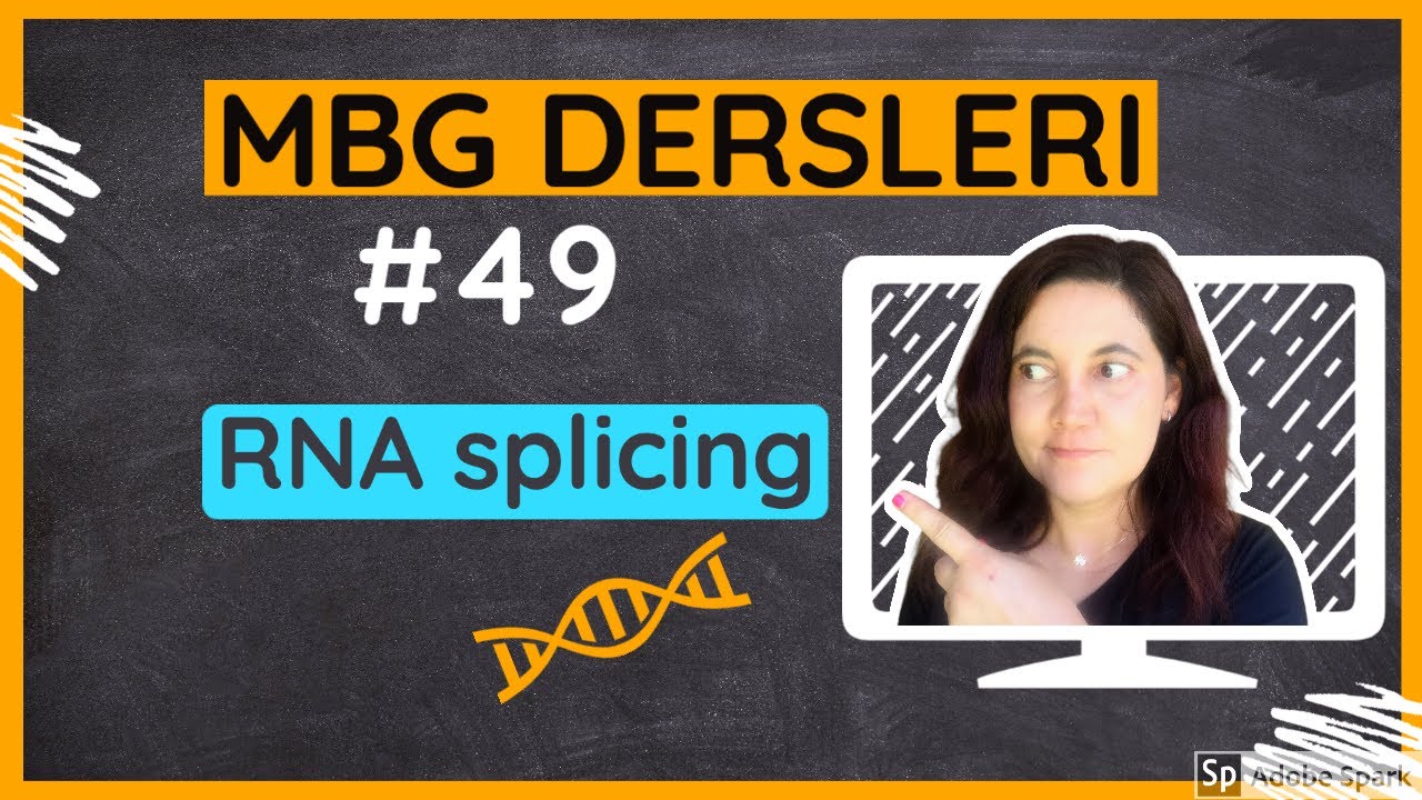 Moleküler Biyoloji ve Genetik Dersleri #49: RNA Splicing