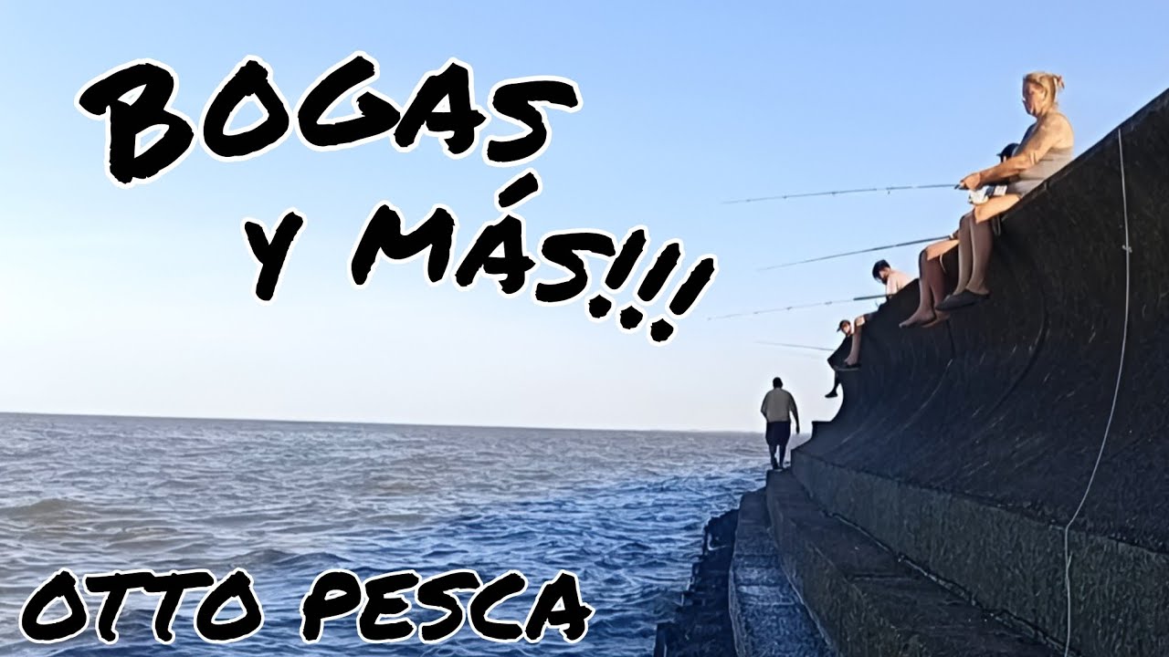 🇦🇷 PESCA de COSTA en Punta Lara #pesca #lineadepesca #riodelaplata 