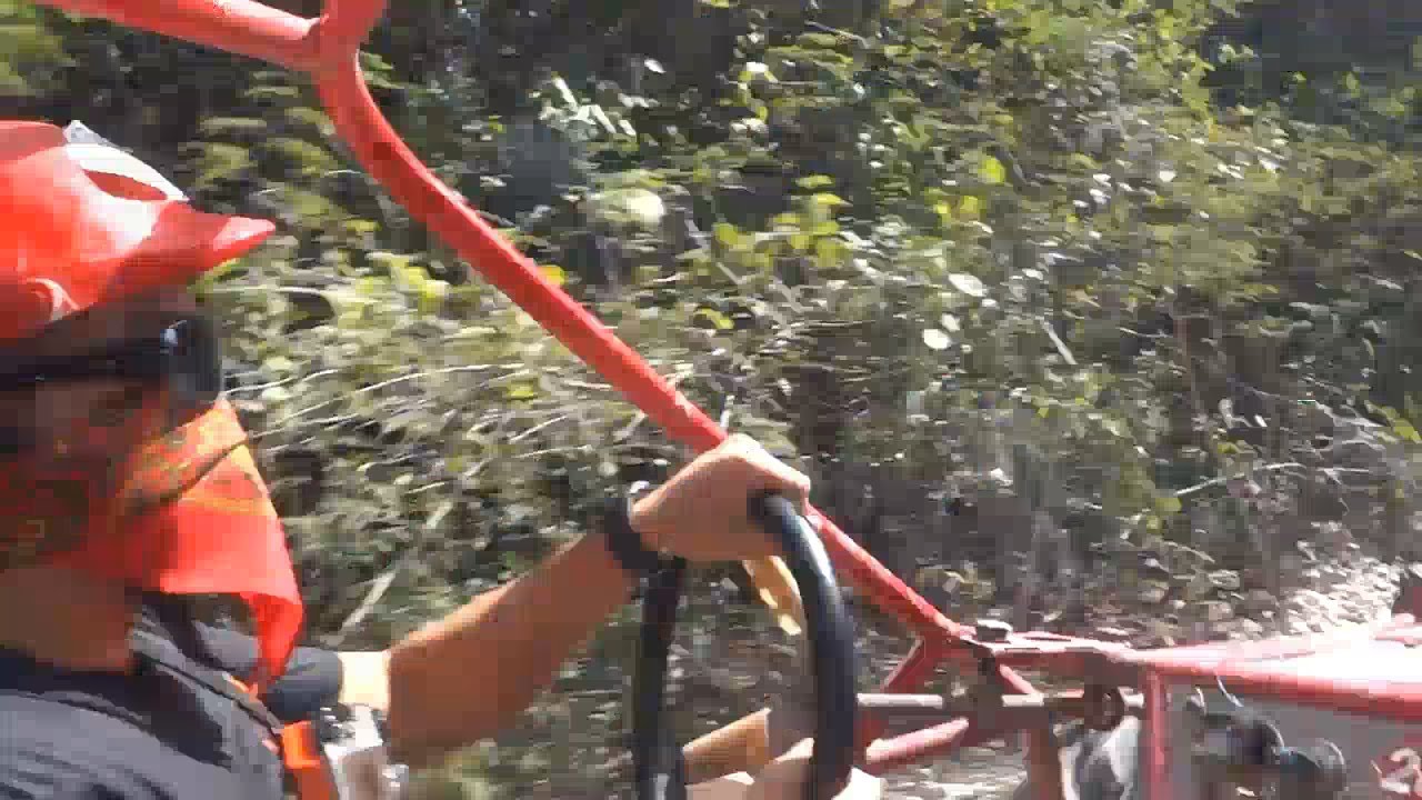 XRails to Jade Caverns by Wild Tours - Cozumel, Mexico - Full Tour