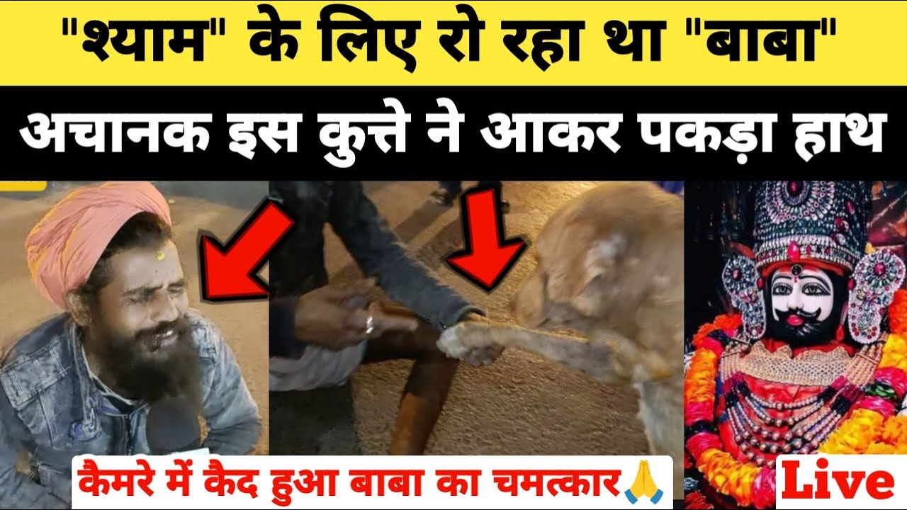 कैमरे में कैसे हुआ श्याम का चमत्कार, श्याम के लिया रो'रहा था बाबा, अचानक इस कुत्ते ने आकर पकड़ा हाथ