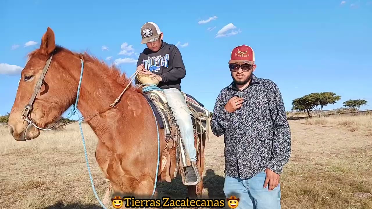 Desde niño, me enseñe a montar a caballo 🐎. Y disfruto montar mi burrito "Filimon"🤗🙂