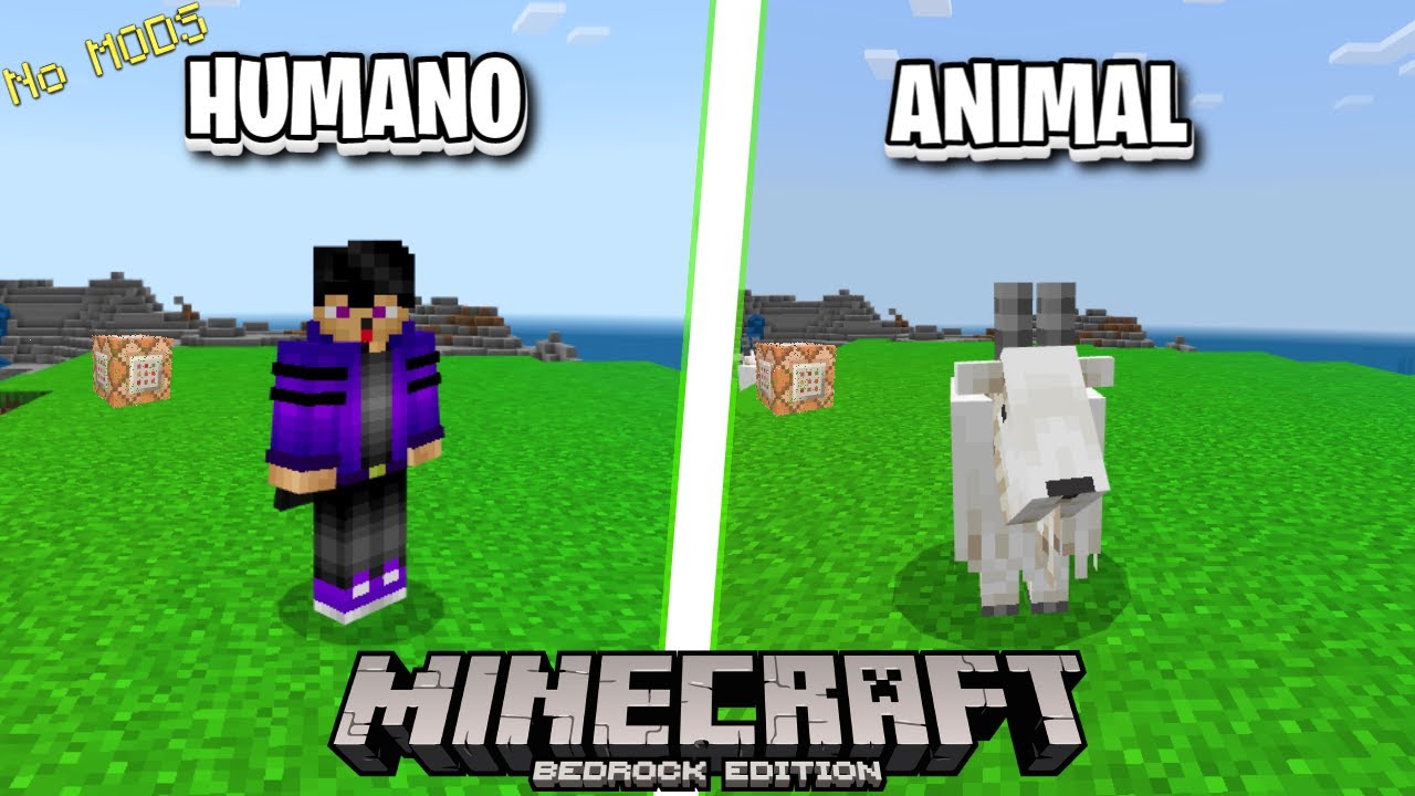 ✅COMO TRANSFORMARSE EN CUALQUIER MOB EN MINECRAFT PE /BEDROCK SIN MODS - BLOQUES DE COMANDO (FACIL)