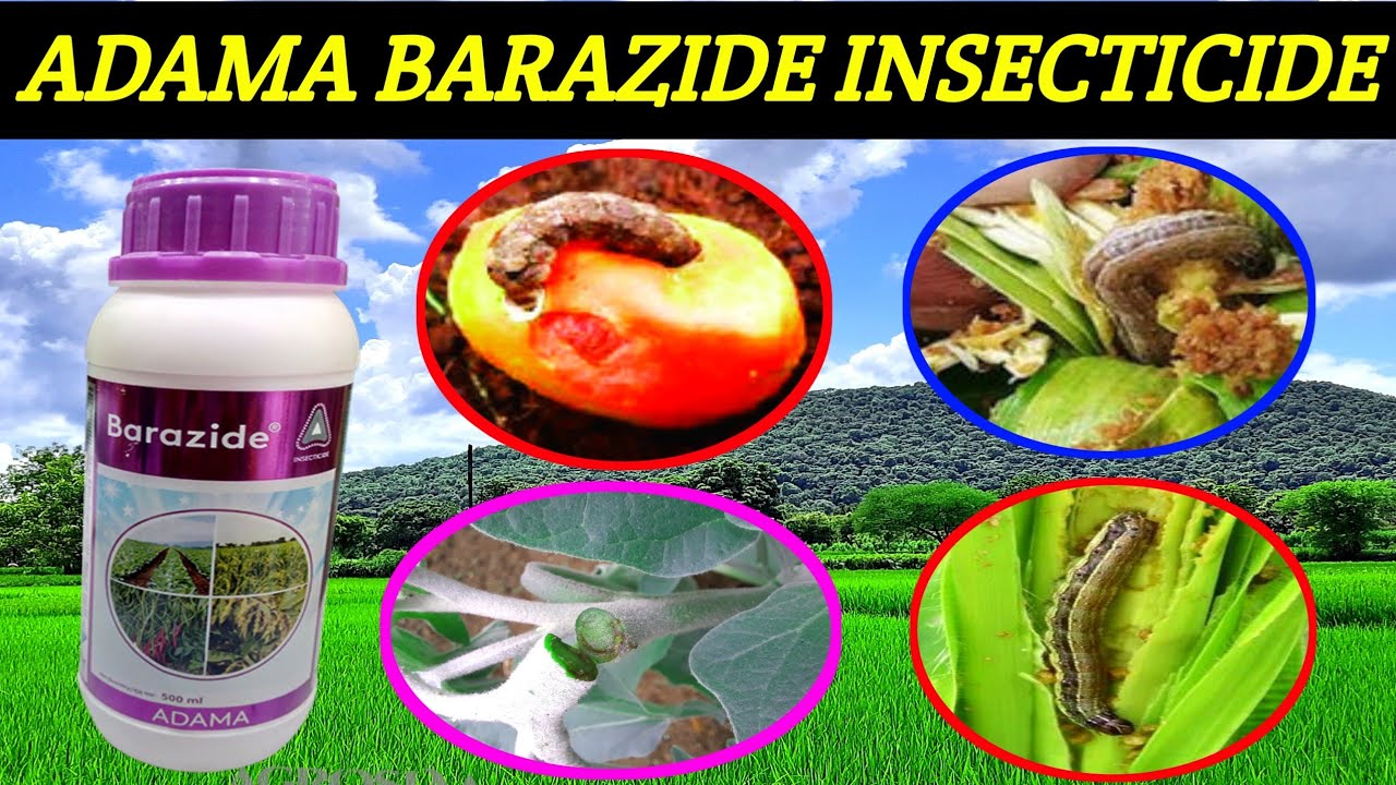 Adama Barazide insecticide| Novaluron 5.25+Emamectin benzoate 0.9SC| Barazide insecticide price dose