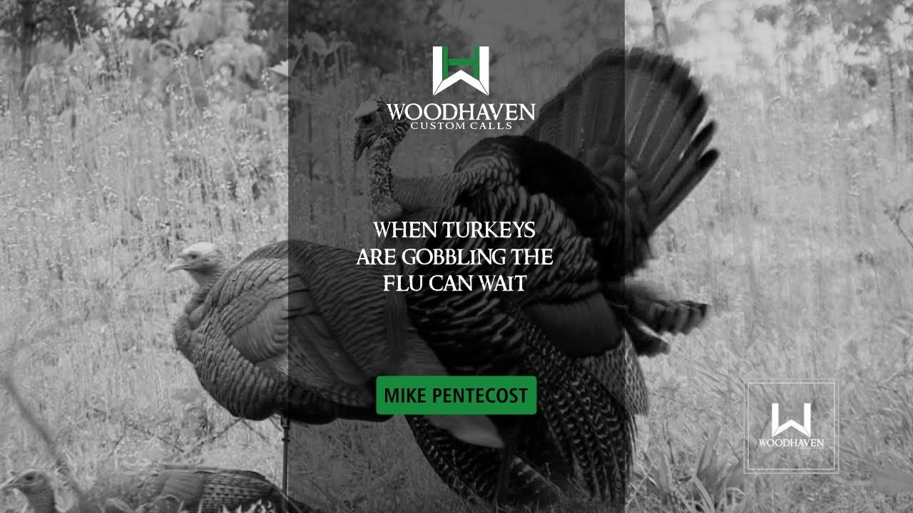 When Turkeys are Gobbling the Flu Can Wait: Late afternoon turkey hunt in GA.