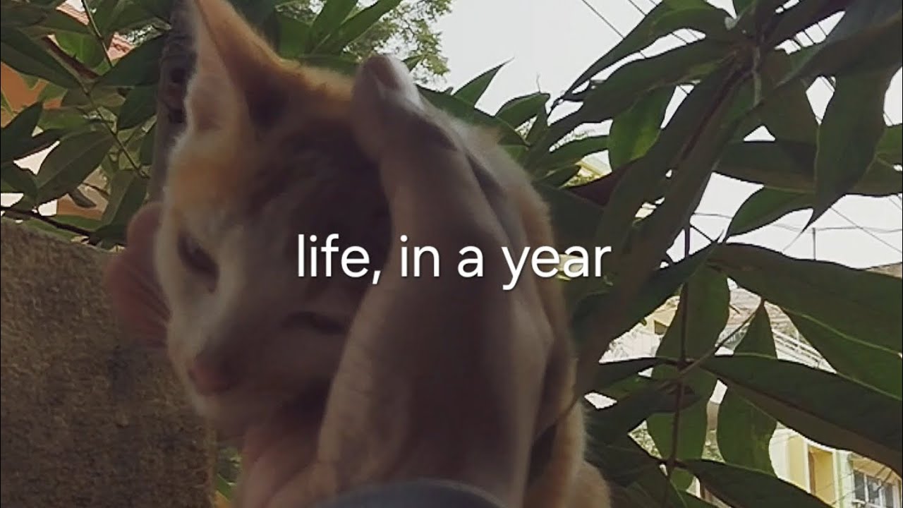 life, recently