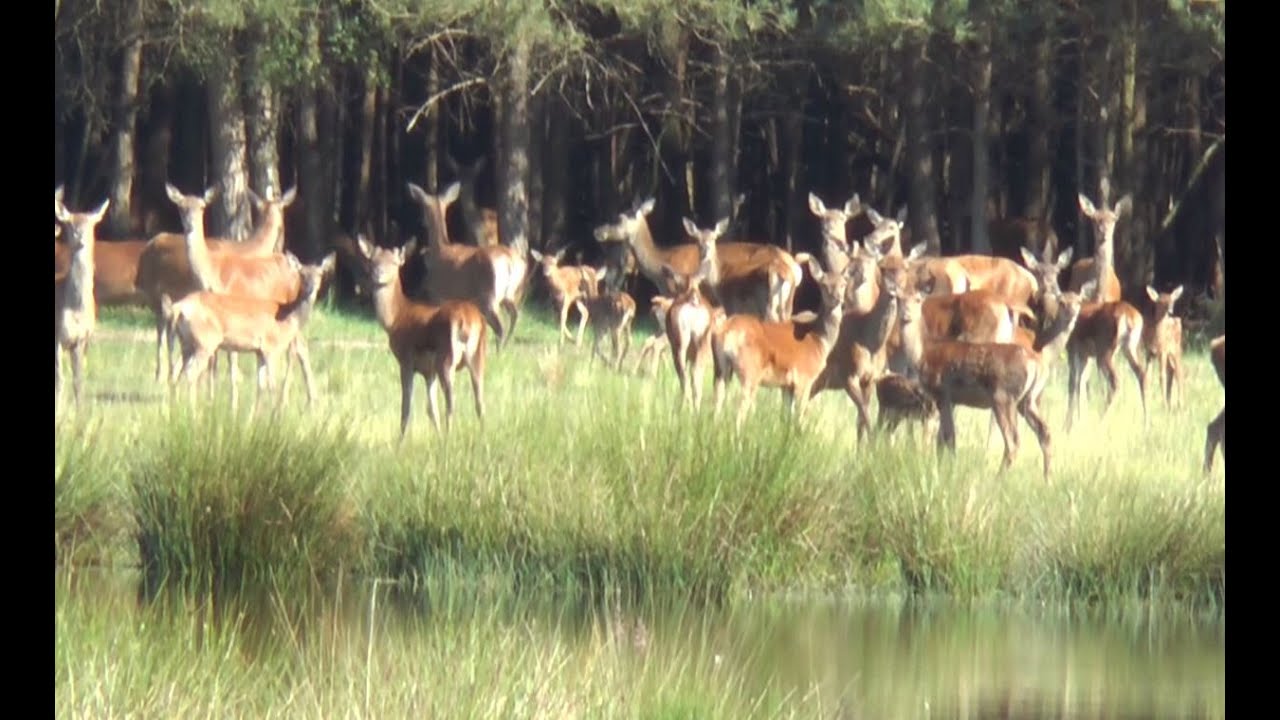 Landgoed Staverden