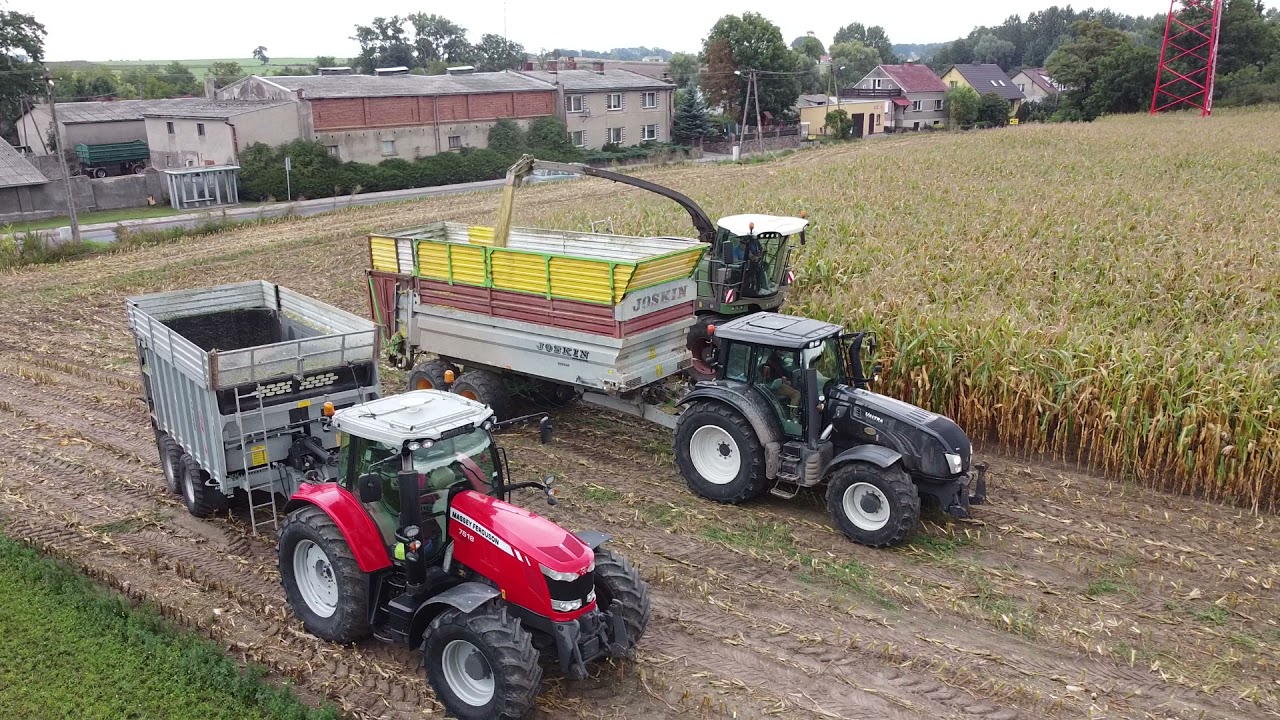 🌽🌽Kukurydza na kiszonke 2021🌽 🌽  👍Fendt Katana 65👍