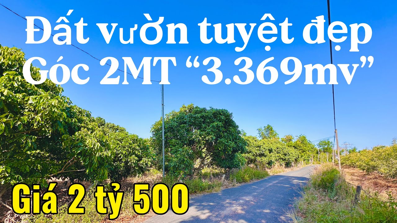 #621 Chủ cần tiền bán ngợp đất vườn “35x95” 2 mặt tiền | Giá rẻ “2 tỷ 5” Xã Hoà Hội, Xuyên Mộc BRVT