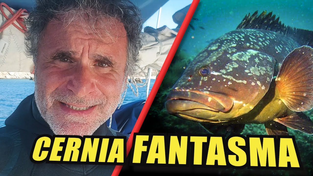 Ho PESCATO una CERNIA nel DESERTO da una barca a vela